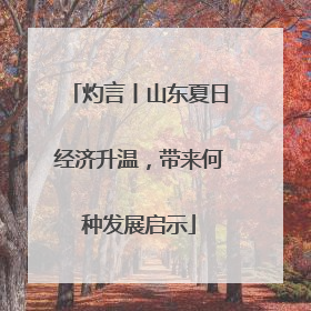 灼言丨山东夏日经济升温，带来何种发展启示