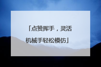 点赞挥手，灵活机械手轻松模仿