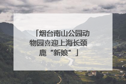 烟台南山公园动物园喜迎上海长颈鹿“新娘”