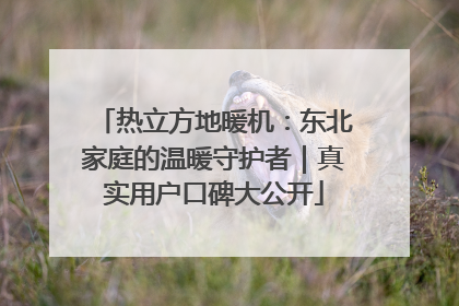 热立方地暖机：东北家庭的温暖守护者｜真实用户口碑大公开