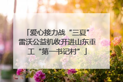爱心接力战“三夏” 雷沃公益机收开进山东重工“第一书记村”