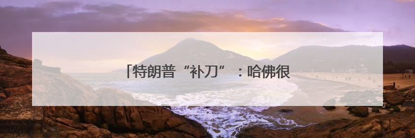 特朗普“补刀”：哈佛很多学生连2+2都不会做