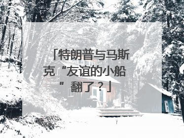 特朗普与马斯克“友谊的小船”翻了？