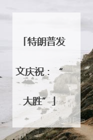 特朗普发文庆祝：“大胜”