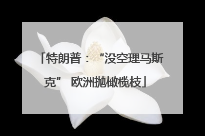 特朗普：“没空理马斯克” 欧洲抛橄榄枝