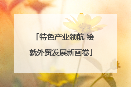 特色产业领航 绘就外贸发展新画卷
