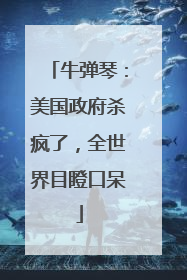 牛弹琴：美国政府杀疯了，全世界目瞪口呆