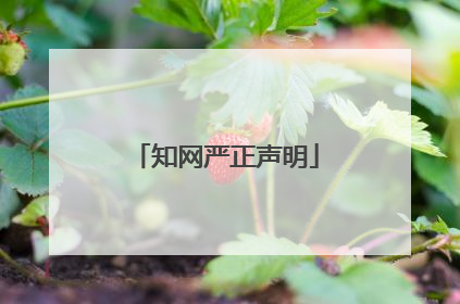 知网严正声明
