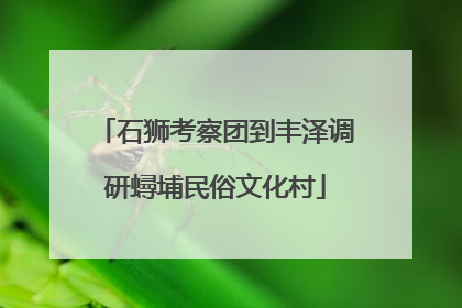 石狮考察团到丰泽调研蟳埔民俗文化村