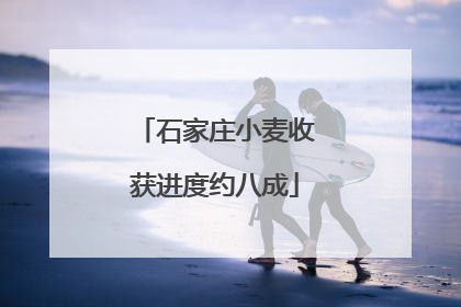 石家庄小麦收获进度约八成