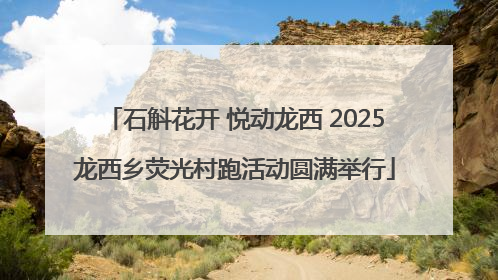 石斛花开 悦动龙西 2025龙西乡荧光村跑活动圆满举行