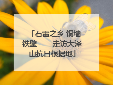 石雷之乡 铜墙铁壁——走访大泽山抗日根据地