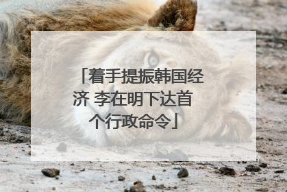 着手提振韩国经济 李在明下达首个行政命令