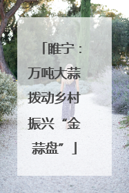 睢宁：万吨大蒜拨动乡村振兴“金蒜盘”