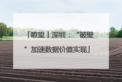 瞭望丨深圳：“破壁”加速数据价值实现