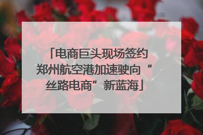 电商巨头现场签约 郑州航空港加速驶向“丝路电商”新蓝海