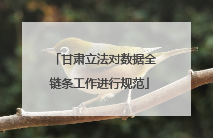 甘肃立法对数据全链条工作进行规范