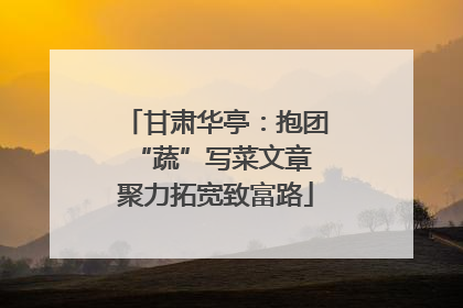 甘肃华亭：抱团“蔬”写菜文章 聚力拓宽致富路