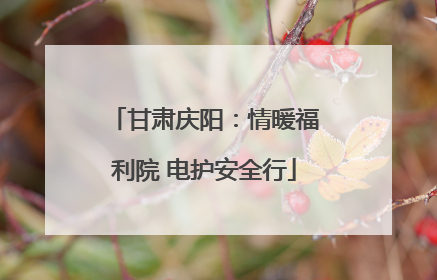 甘肃庆阳：情暖福利院 电护安全行