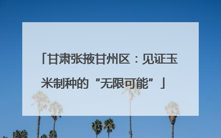 甘肃张掖甘州区：见证玉米制种的“无限可能”