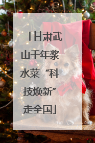 甘肃武山千年浆水菜“科技焕新”走全国