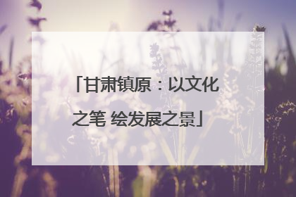 甘肃镇原：以文化之笔 绘发展之景