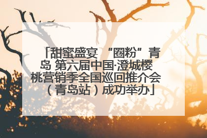 甜蜜盛宴 “圈粉”青岛 第六届中国·澄城樱桃营销季全国巡回推介会（青岛站）成功举办