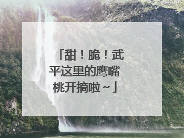甜！脆！武平这里的鹰嘴桃开摘啦～