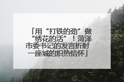 用“打铁的劲”做“绣花的活”！菏泽市委书记的发言折射一座城的炽热情怀