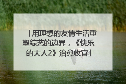 用理想的友情生活重塑综艺的边界，《快乐的大人2》治愈收官