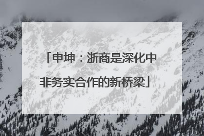 申坤：浙商是深化中非务实合作的新桥梁