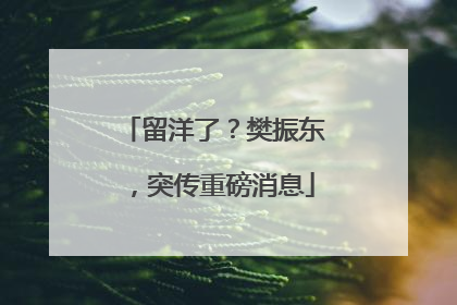 留洋了？樊振东，突传重磅消息