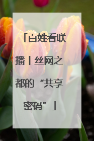 百姓看联播丨丝网之都的“共享密码”