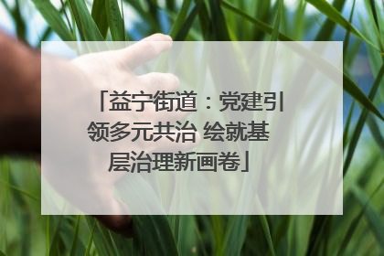 益宁街道：党建引领多元共治 绘就基层治理新画卷
