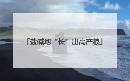 盐碱地“长”出高产粮