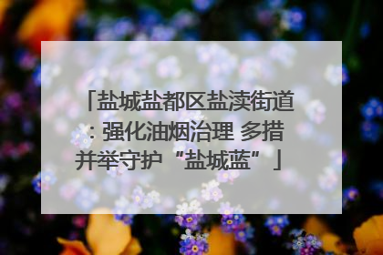 盐城盐都区盐渎街道：强化油烟治理 多措并举守护“盐城蓝”