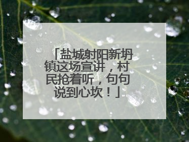 盐城射阳新坍镇这场宣讲，村民抢着听，句句说到心坎！