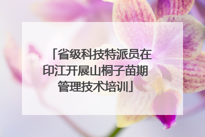 省级科技特派员在印江开展山桐子苗期管理技术培训