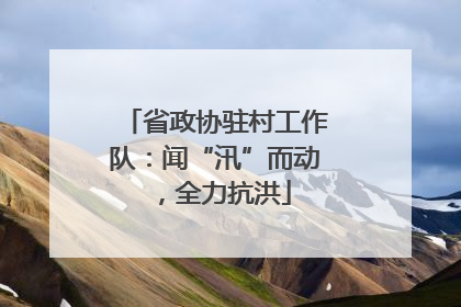 省政协驻村工作队：闻“汛”而动，全力抗洪