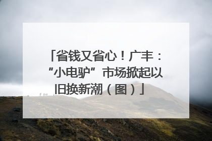 省钱又省心！广丰：“小电驴”市场掀起以旧换新潮（图）