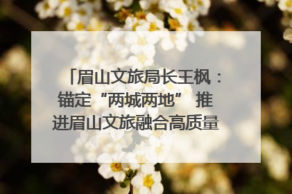 眉山文旅局长王枫：锚定“两城两地” 推进眉山文旅融合高质量发展｜文旅局长说