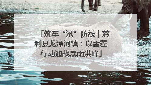 筑牢“汛”防线｜慈利县龙潭河镇：以雷霆行动迎战暴雨洪峰