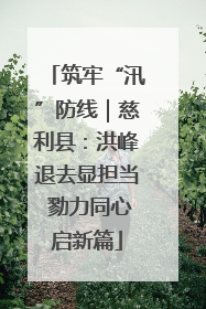 筑牢“汛”防线｜慈利县：洪峰退去显担当 勠力同心启新篇