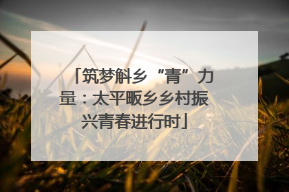 筑梦斛乡“青”力量：太平畈乡乡村振兴青春进行时
