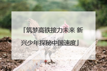 筑梦高铁接力未来 新兴少年探秘中国速度