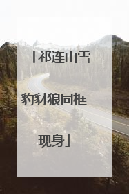 祁连山雪豹豺狼同框现身