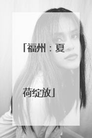 福州：夏荷绽放