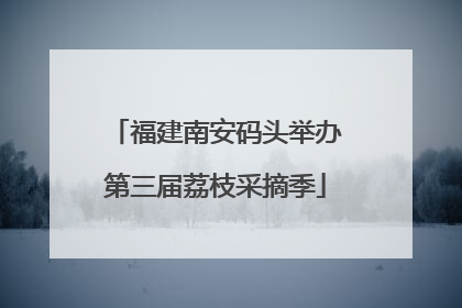 福建南安码头举办第三届荔枝采摘季