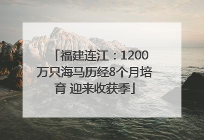 福建连江：1200万只海马历经8个月培育 迎来收获季