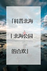 科普北海丨北海公园的合欢